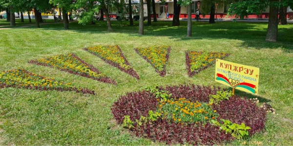 Цветочные клумбы