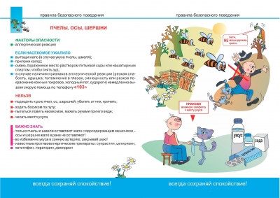 Правила безопасного поведения