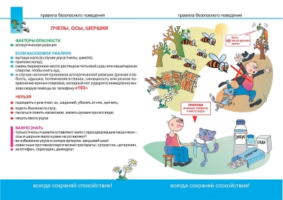 Пчелы, осы, шершни
