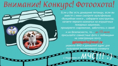 Фотоохота в разгаре