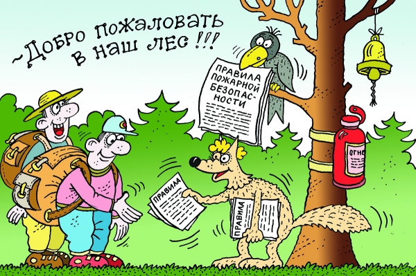 Добро пожаловать в лес