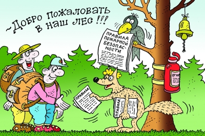 Добро пожаловать в лес