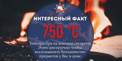 Интересный факт