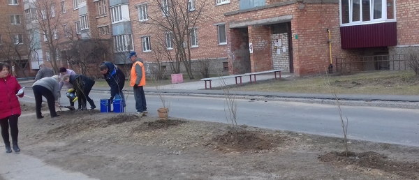 Городской субботник