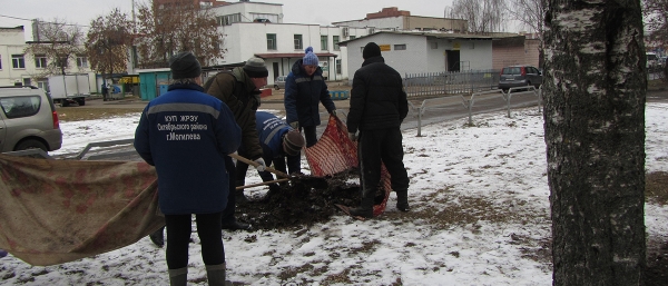 Санитарные дни